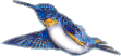 Kolibri